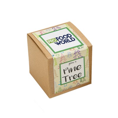 Growables Planter in Kraft Gift Box (Pine Tree)